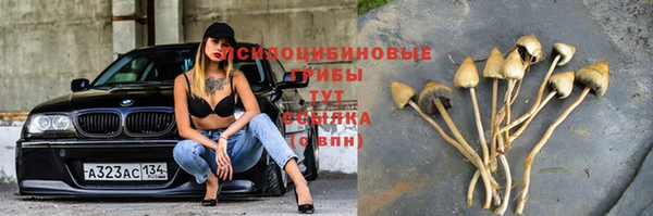 прущий лед Арсеньев