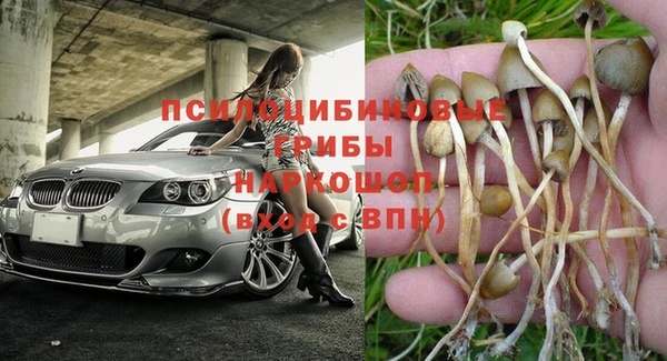 соль курить ск Аркадак