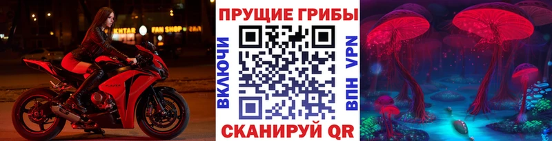 Галлюциногенные грибы прущие грибы  kraken маркетплейс  Сольцы  даркнет сайт 