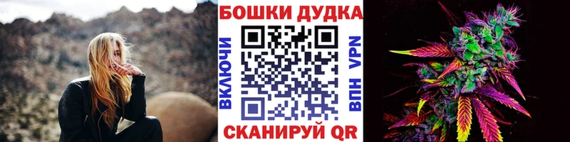 Каннабис планчик  Сольцы 